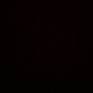 Meet your Posher, Darrell